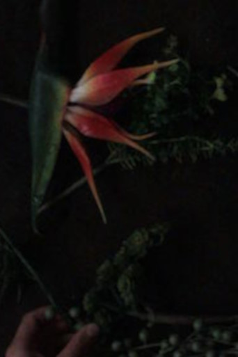 Movie poster for still life composition 'an accompaniment for life' (2015)