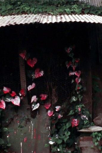 Movie poster for Shelter (1980)