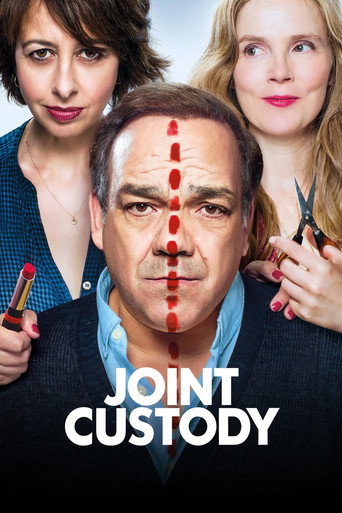 Movie poster for Joint Custody (2017)