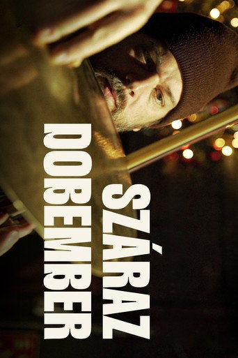 Movie poster for Száraz dobember (2024)