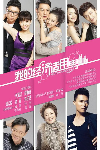 我的经济适用男 poster