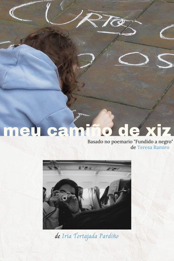 Movie poster for Meu camiño de xiz