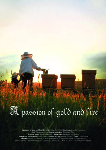 Movie poster for A Passion of Gold and Fire (2015)