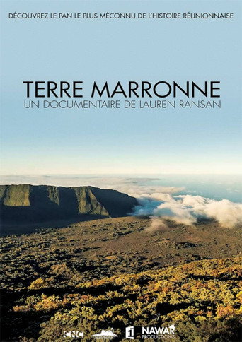 Movie poster for Terre marronne (2015)