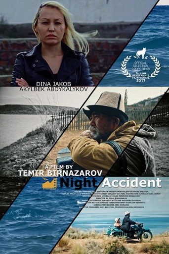 Movie poster for Night Accident (2017)