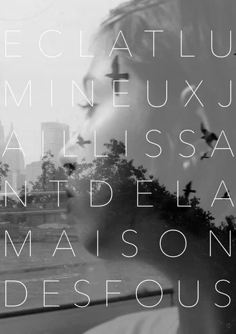 Movie poster for Éclat Lumineux Jaillissant de la Maison des Fous (2025)