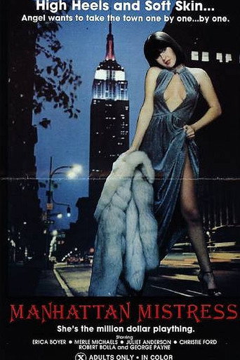 Movie poster for Manhattan Mistress (1981)