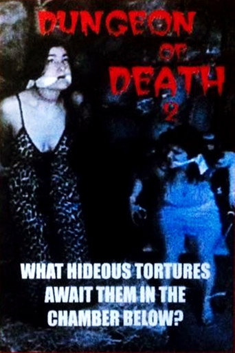 Movie poster for Dungeon of Death 2 (1998)