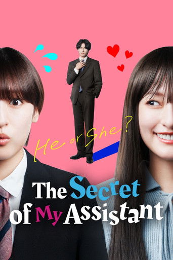 The Secret of My Assistant poster