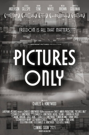 Movie poster for Pictures Only (2021)