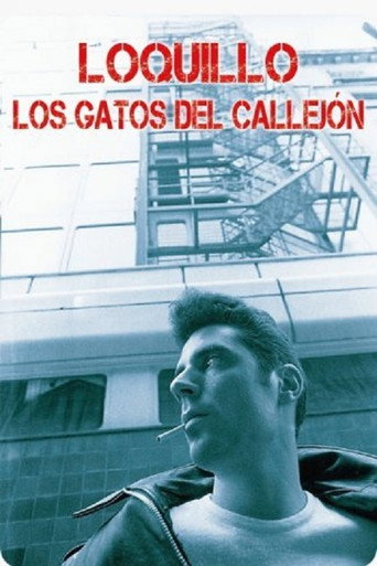 Los gatos del callejón poster