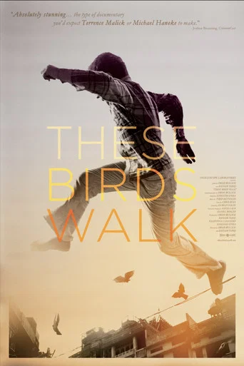 Movie poster for These Birds Walk (2012)