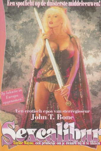 Movie poster for Sexcalibur (1992)
