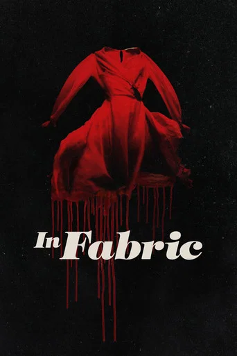 Movie poster for In Fabric (2018)