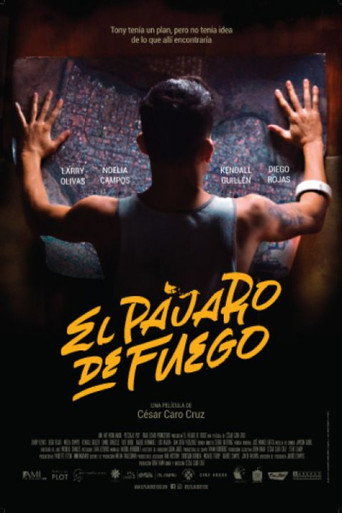 Movie poster for Bird of Fire (2021)