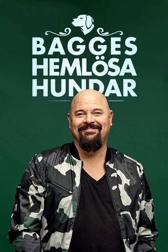 Series poster for Bagges hemlösa hundar (2017)