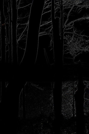 Movie poster for The Heart of the Wood (2025)