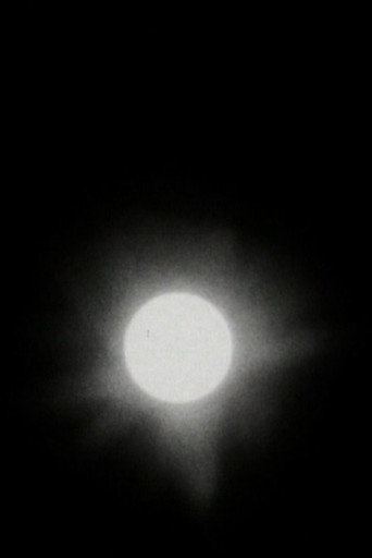 Movie poster for The Transit of Venus (2005)