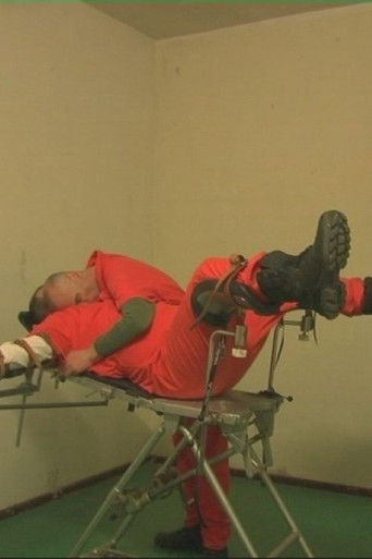 Hotel Straussberg poster