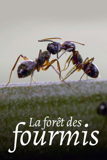 Movie poster for La Forêt des fourmis (2023)