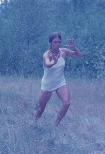 Movie poster for Tai Chi (1975)