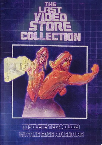 Movie poster for The Last Videostore (2013)