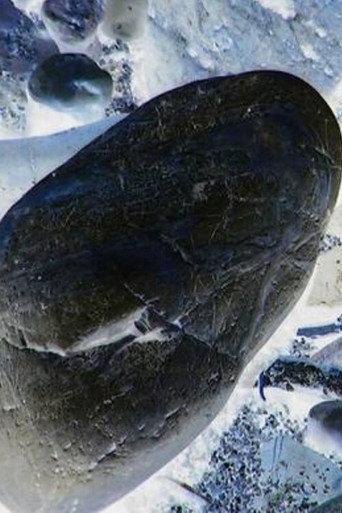 Movie poster for Ecosystem 20 ~ Stone (2013)
