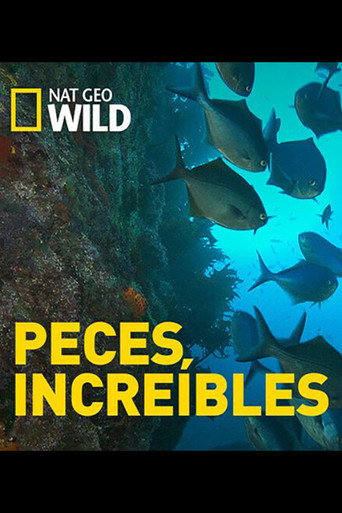 Movie poster for Incredible Fish (2016)