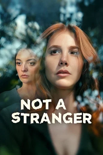 Series poster for Not a Stranger (2026)