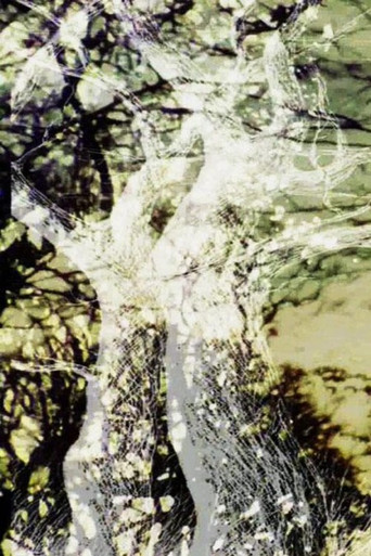 Movie poster for Holloway (2015)
