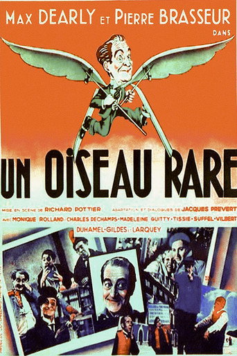 Movie poster for A Rare Bird (1935)