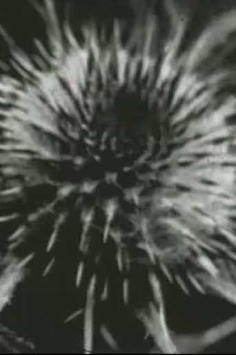 Movie poster for Scratch (1998)
