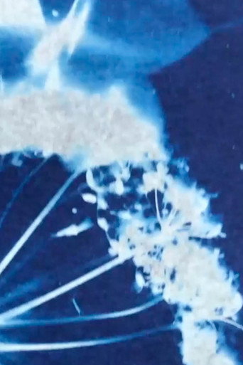 Movie poster for Into the Blue (2021)