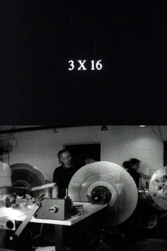 Movie poster for 3 x 16 (2007)