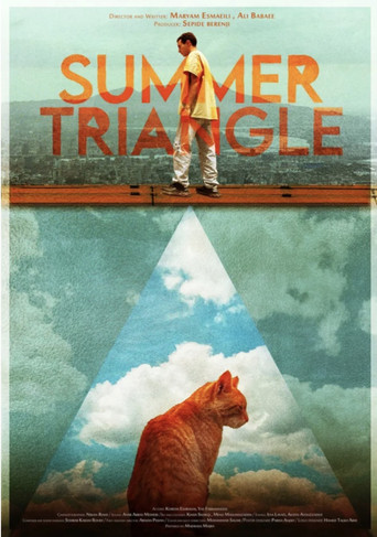 Movie poster for Summer Triangle (2025)