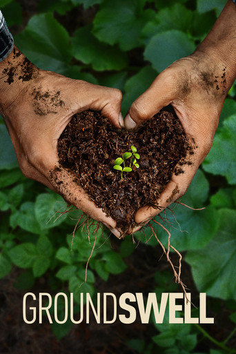 Movie poster for Groundswell (2026)