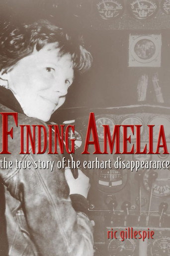 Movie poster for Finding Amelia (2010)