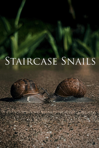 Movie poster for Staircase Snails (2025)
