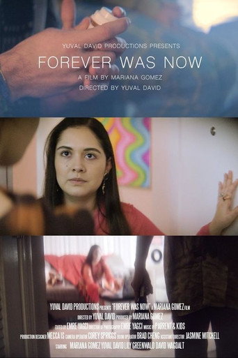 Movie poster for Forever Was Now