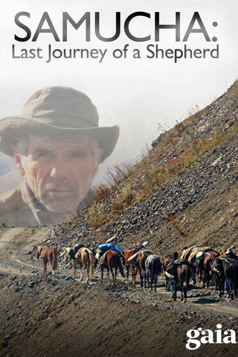 Movie poster for Samucha, un dernier été dans le Caucase (2010)