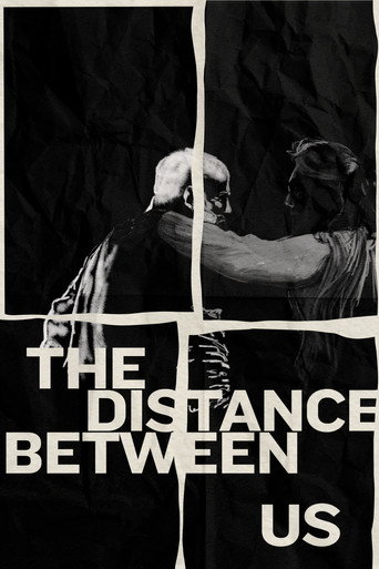 Movie poster for The Distance Between Us (2024)