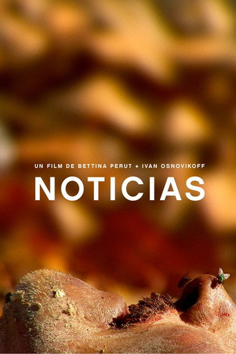 Movie poster for Noticias (2009)