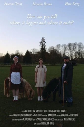 Movie poster for How can you tell where it begins and where it ends? (2026)