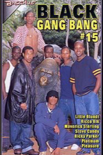 Movie poster for Black Gang Bang 15 (2002)