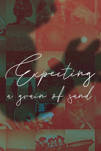 Movie poster for Expecting A Grain Of Sand (2021)