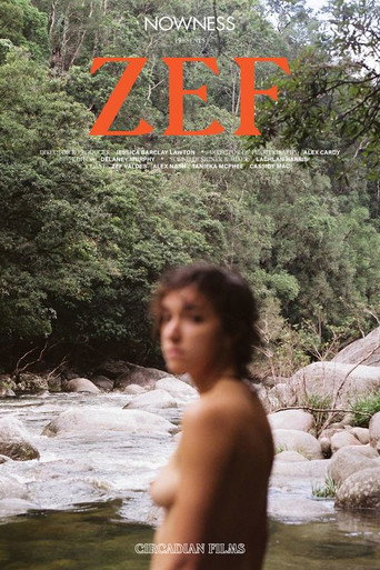 Movie poster for ZEF (2020)