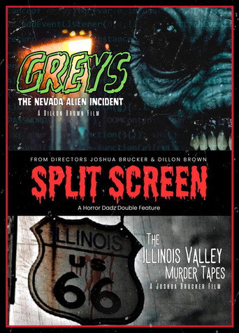 Movie poster for Split Screen (2023)