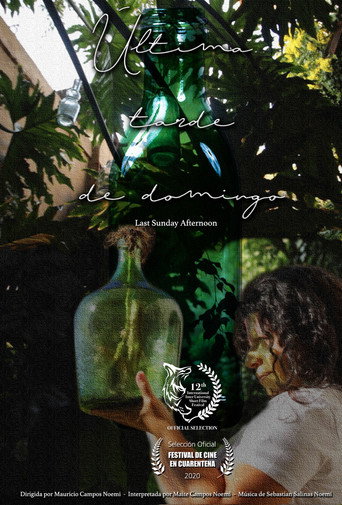 Movie poster for Last Sunday Afternoon (2020)