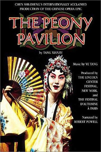 Movie poster for The Peony Pavilion (2001)
