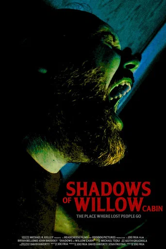 Movie poster for Shadows of Willow Cabin (2025)
